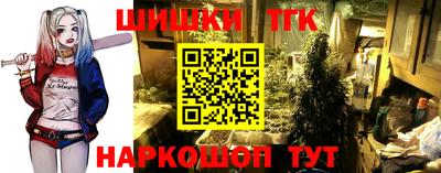 стафф Нальчик
