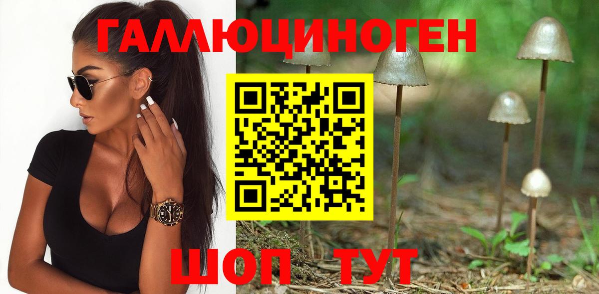 Псилоцибиновые грибы мицелий  Вход с VPN  Тимашёвск 