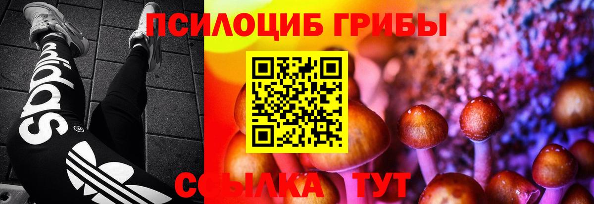 Codein Тимашёвск